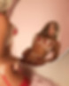 VIP escorts elite escorts high class escorts.jpg